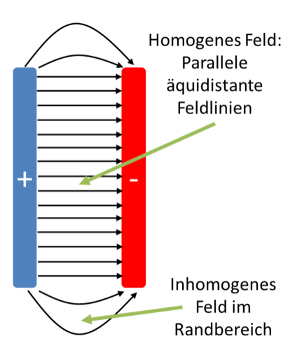 Feld zwischen zwei Kondensatorplatten: homogenes Feld mit parallelen äquidistanten Feldlinien, inhomogenes Feld im Randbereich