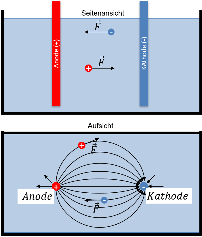 Elektrolyse in Seitenansicht und Aufsicht: Kräfte auf positive und negative Ionen zwischen Anode und Kathode