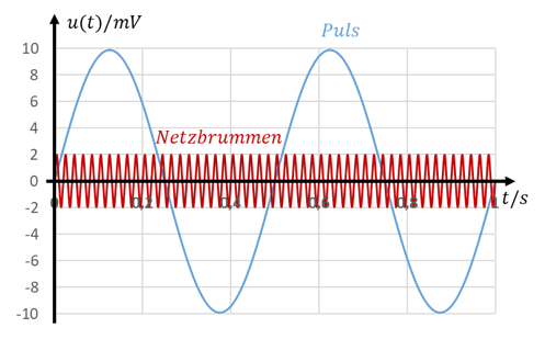 Pulssignal mit 10 mV Amplitude und 2 Hz sowie Netzbrummen mit 2 mV Amplitude und 50 Hz