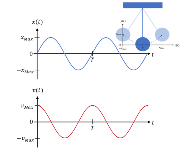 Zeitverlauf der Position x(t) und der Geschwindigkeit v(t) des Pendels